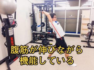 エキセントリック収縮している腹筋