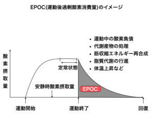 運動後過剰酸素消費量(EPOC)