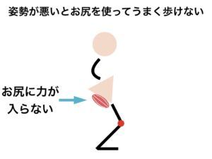 姿勢が悪いとお尻の筋肉を使えないイメージ