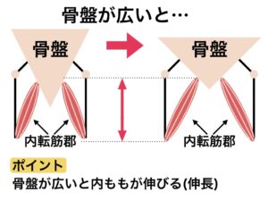 骨盤が広いと内ももの筋肉が伸ばされるイメージ