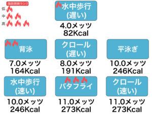 水泳の種目別の脂肪燃焼度