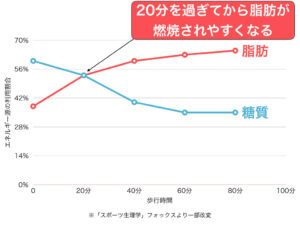 脂肪燃焼のメカニズム
