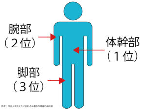 身体部位別の脂肪がつきやすいところと落ちやすいところ