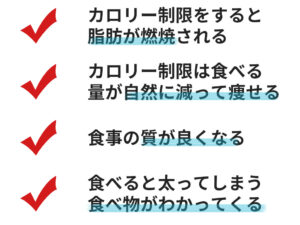 カロリー制限で痩せる４つの理由