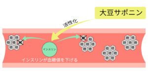 大豆サポニンがインスリンを活性化して血糖値を下げる