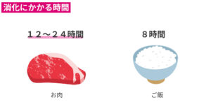お肉の消化にかかる時間の比較