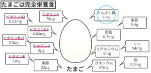 たまごは完全栄養食品