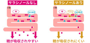 サラシノールの効果