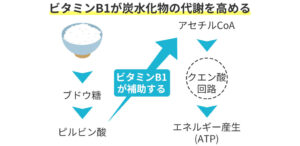 ビタミンB1が炭水化物の代謝をあげる-2