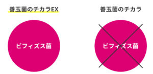 ビフィズス菌の比較