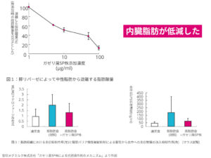 内臓脂肪低減の研究データ