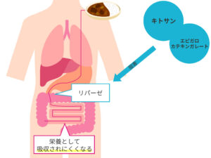 脂質の分解を防ぐ